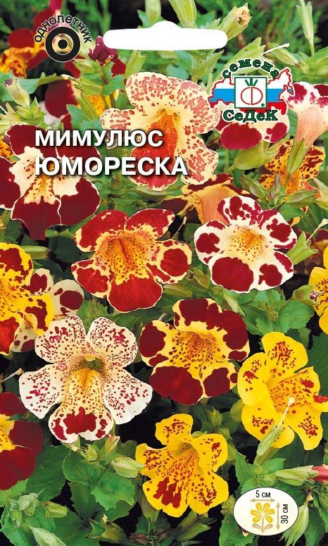 Цветок Мимулюс Юмореска (смесь)