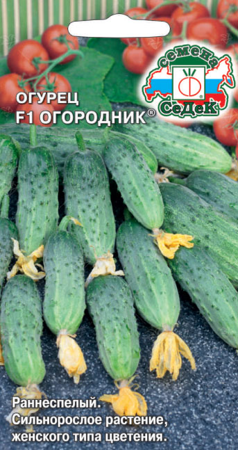 Огурец Огородник F1