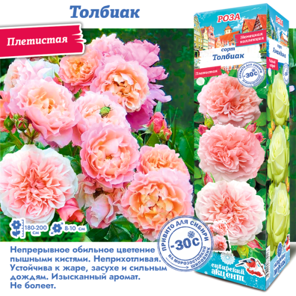 Роза Роз Де Толбиак