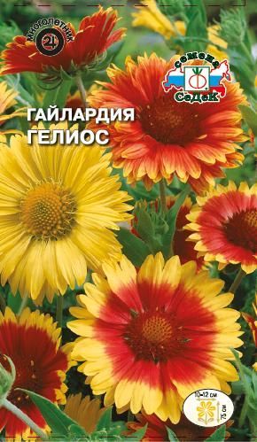 Цветок Гайлардия Гелиос (остистая смесь)