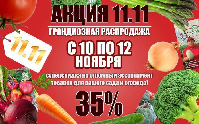 В СеДеК грандиозная распродажа: Акция11.11!