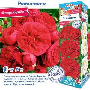 Роза Роткепхен