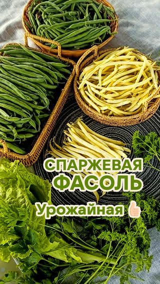 Самая популярная в мире!