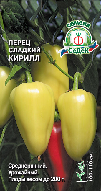 Перец Кирилл