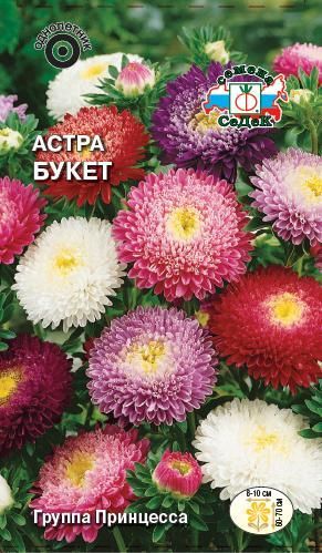 Цветок Астра Букет (смесь)