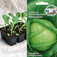 Капуста б/к Июньская, кассета 6шт.