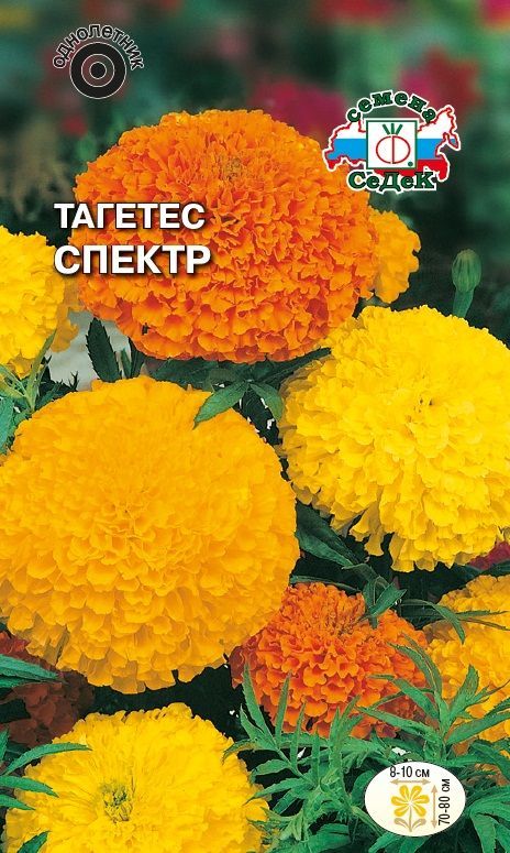 Цветок Тагетес Спектр (смесь)