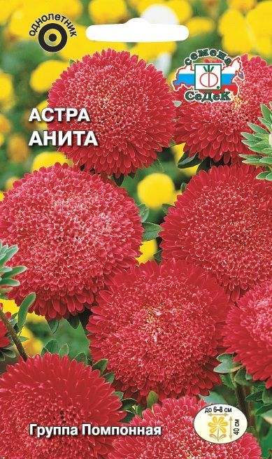 Цветок Астра Анита