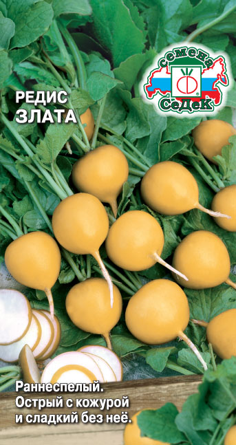 Редис Злата