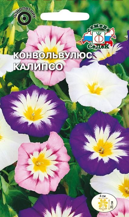 Цветок Конвольвулюс Калипсо (смесь)