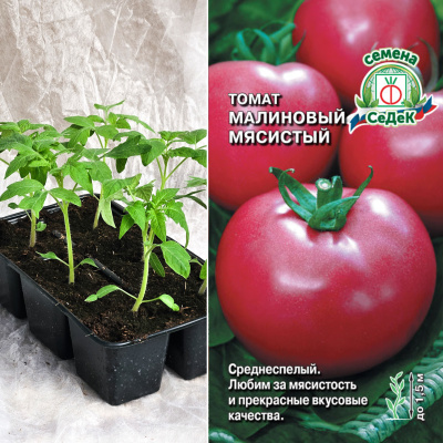 Томат Малиновый Мясистый, кассета 6шт.