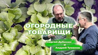 "Огородные товарищи" и очень ранняя капуста в Подмосковье!