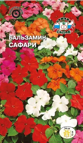 Цветок Бальзамин Сафари гибридный (смесь)