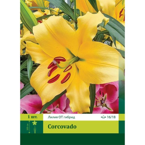 Лилия Корковадо