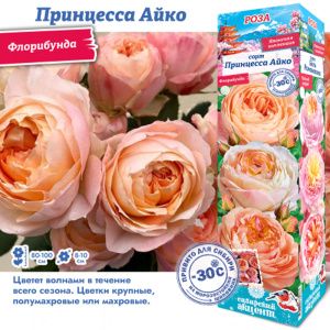 Роза Принцесса Айко