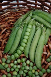 горох Ажур  500 г