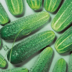 огурец Рита  50 г