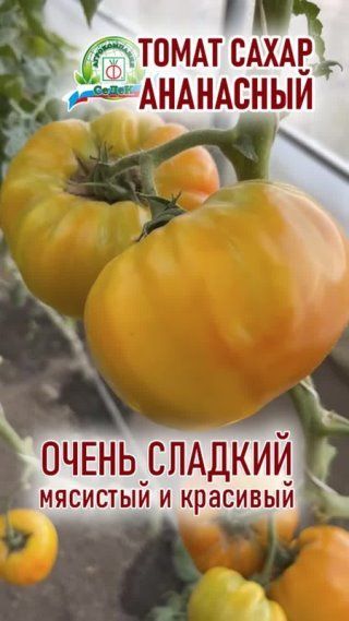 Гигантский, мясистый и вкусный томат с необычным цветом!