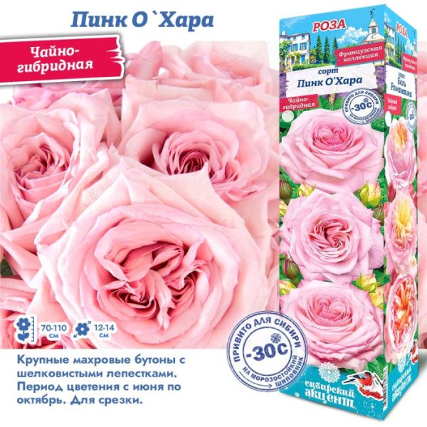 Роза Пинк О Хара