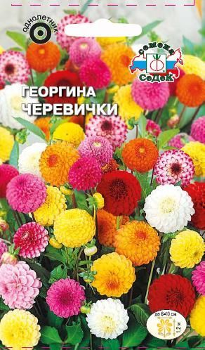 Цветок Георгина Черевички