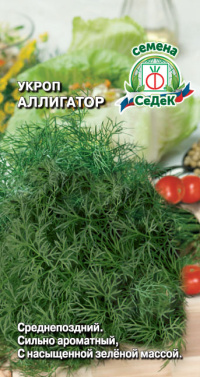 Укроп Аллигатор