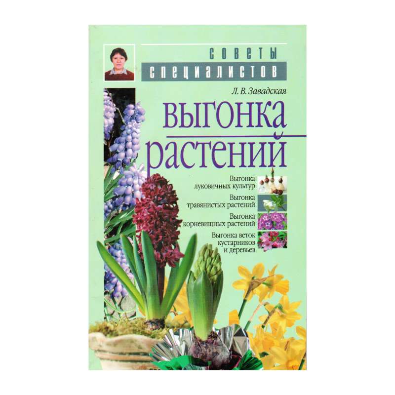 Книга Выгонка растений (Л. И. Завадская)