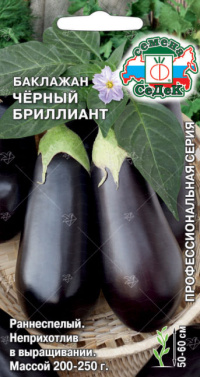 Баклажан Черный Бриллиант