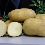 Картофель Императрица (5 г)