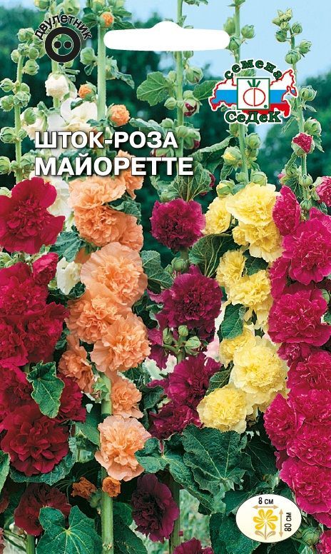 Цветок Шток-роза Майоретте (смесь)