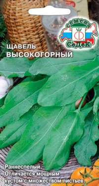 Щавель Высокогорный