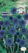 Цветок Эхинопс Фантазер ритро (мордовник, синий)