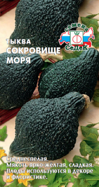Тыква Сокровище моря