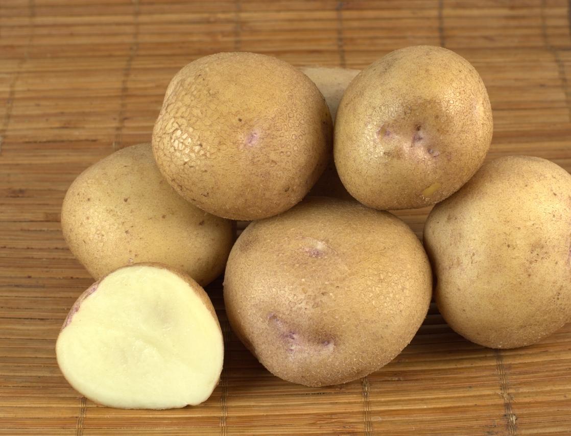 Семенной картофель Синеглазка (2кг, элита)