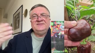 Мартовские посевы Звёзд Востока на небосводе будущих грядок!