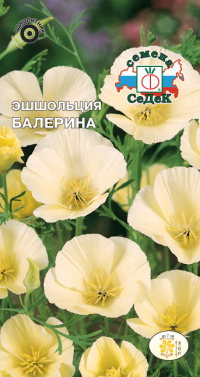 Цветок Эшшольция Балерина белая