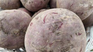 Свекла Мадам Ружетт нежна и безупречна