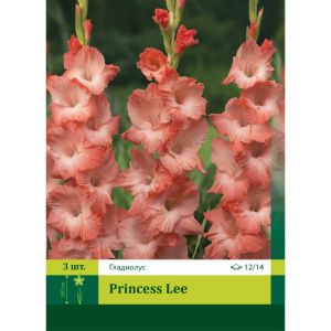 Гладиолус Принцесса Ли 3шт