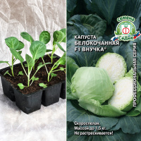 Капуста б/к Внучка, кассета 6шт.