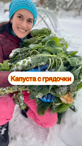 Брюссельская капуста под снегом