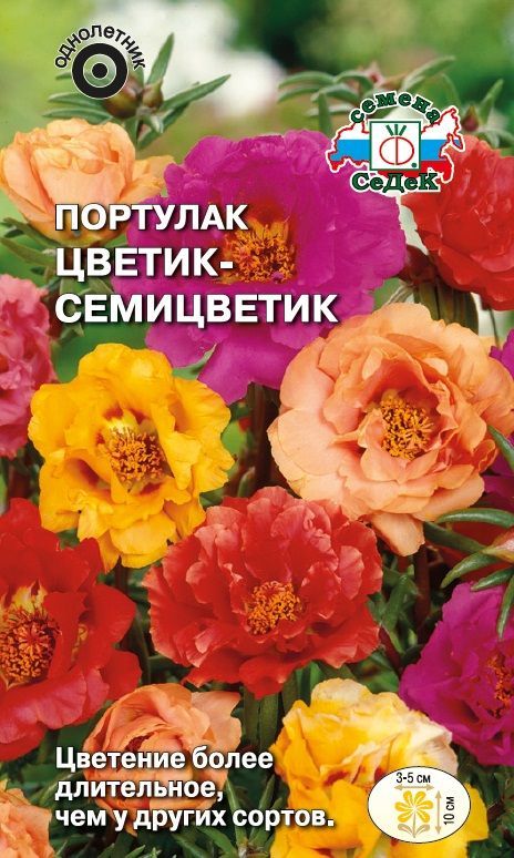 Бумажные цветы «Цветик-семицветик»