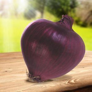 лук Ред Якут F1  100 г