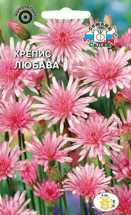 Цветок Крепис Любава