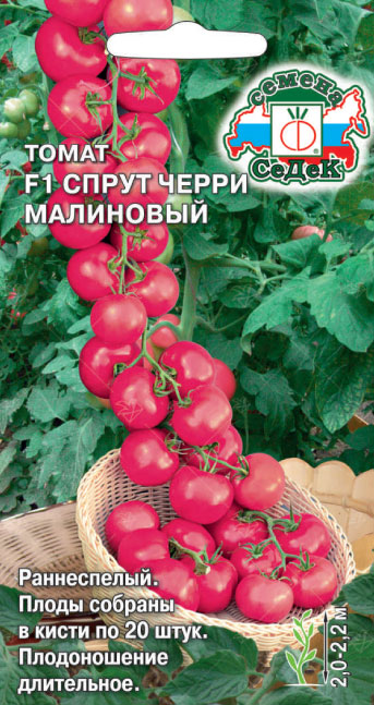 Томат Спрут Черри Малиновый F1