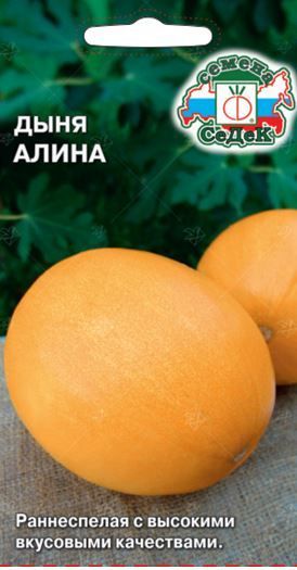 Дыня Алина