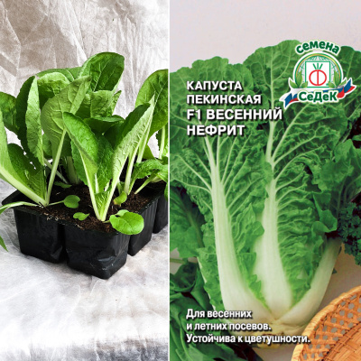 Капуста пек. Весенний нефрит, кассета 6шт.