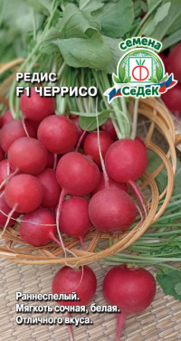 Редис Черрисо F1