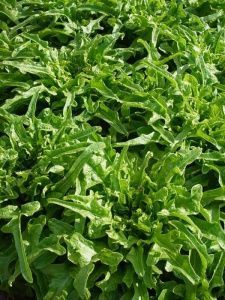 салат Красавчик  100 г