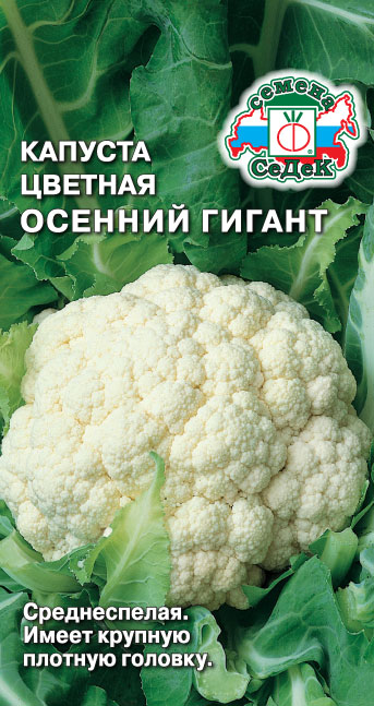 Капуста Осенний Гигант (цв)