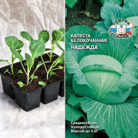 Капуста б/к Надежда, кассета 6шт.