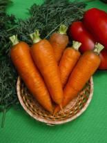 Морковь Шантино, Фракция 2,2мм (Satimex,500 г)